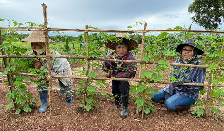 Learning Permaculture